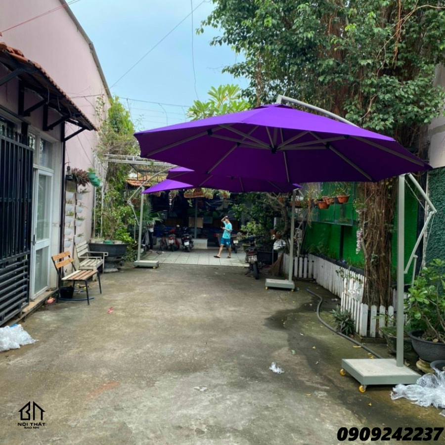 Dù Che nắng màu tím